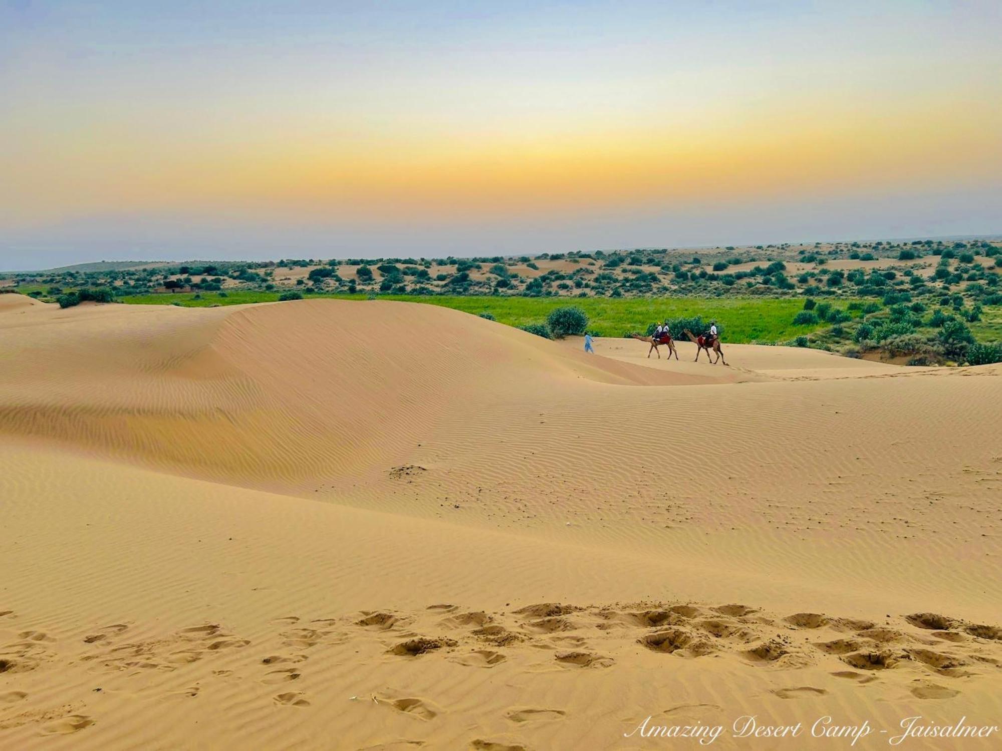 Amazing Desert Camp Jaisalmer Εξωτερικό φωτογραφία